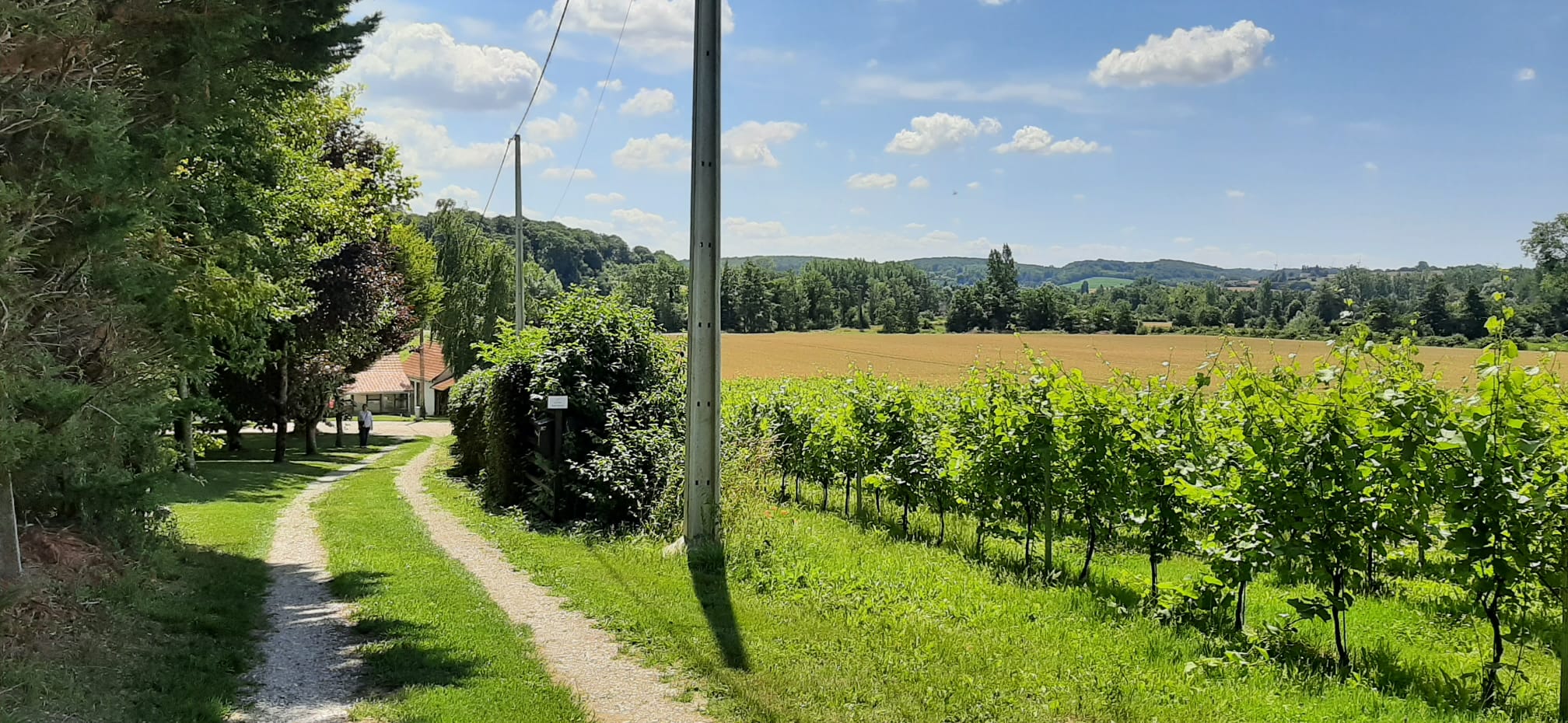 WhatsApp Image 2026-01-13 at 21.21.31 (1)